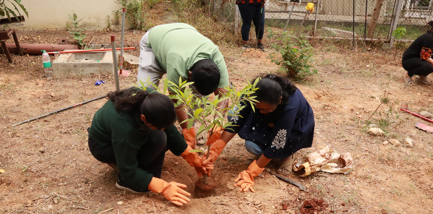 Corporate Volunteering Tree Plantation