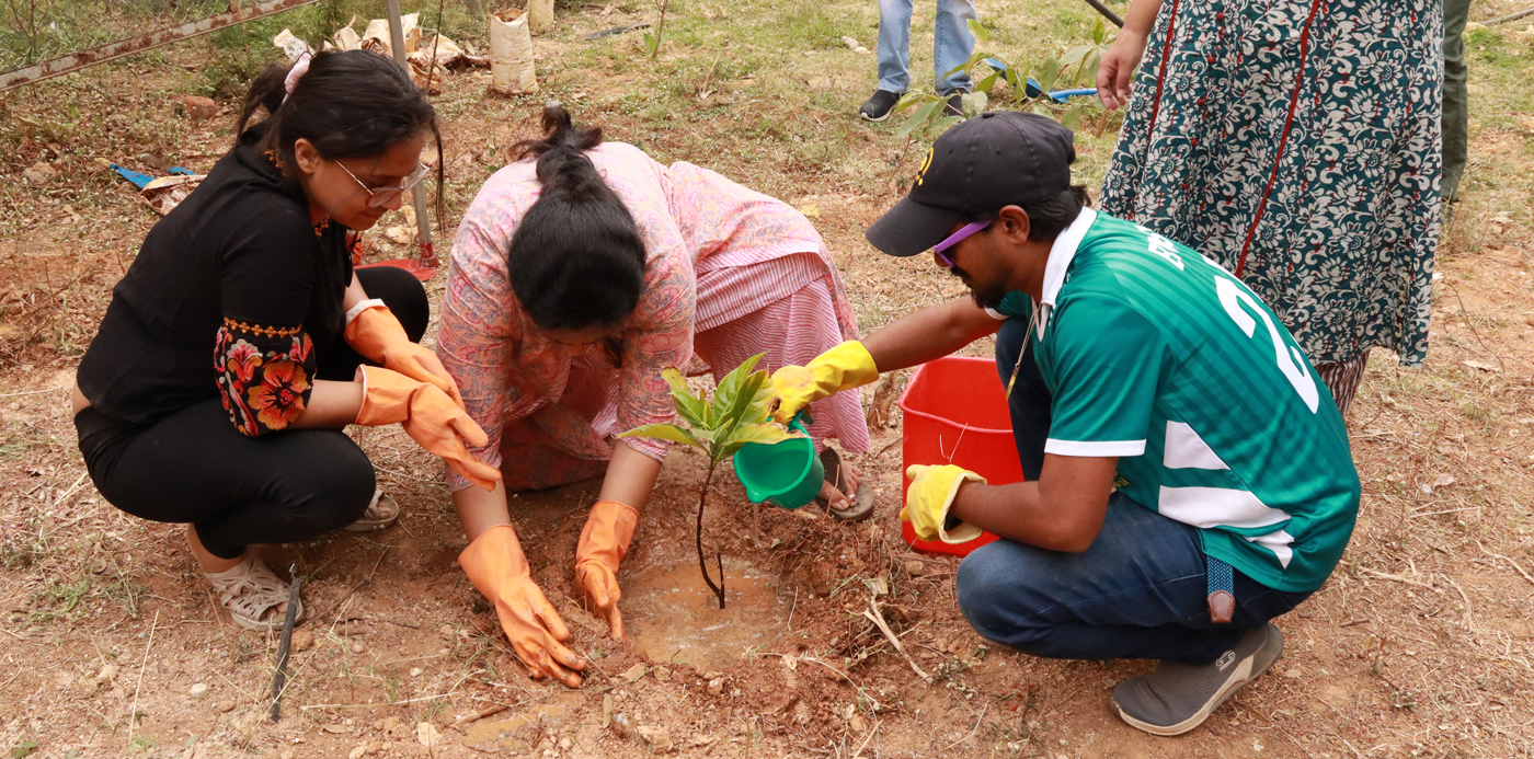 Corporate Volunteering Tree Plantation