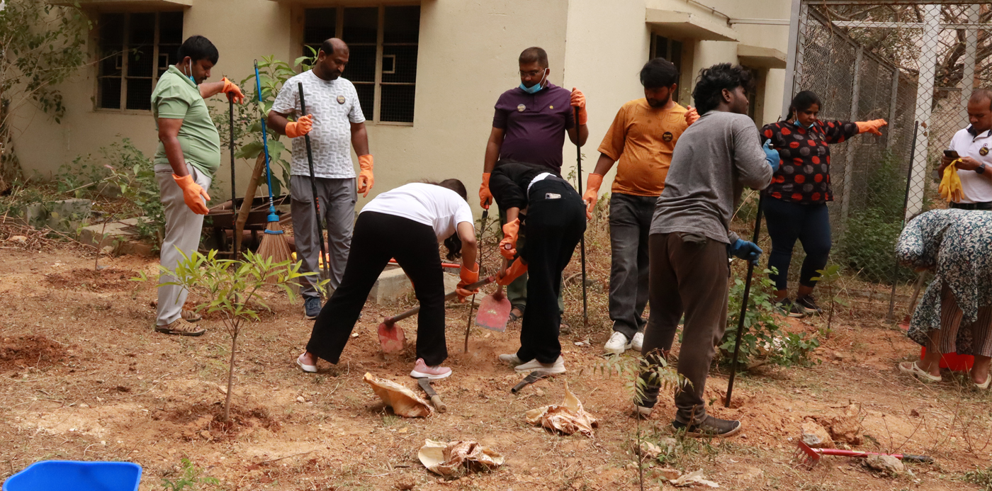 Corporate Volunteering Tree Plantation