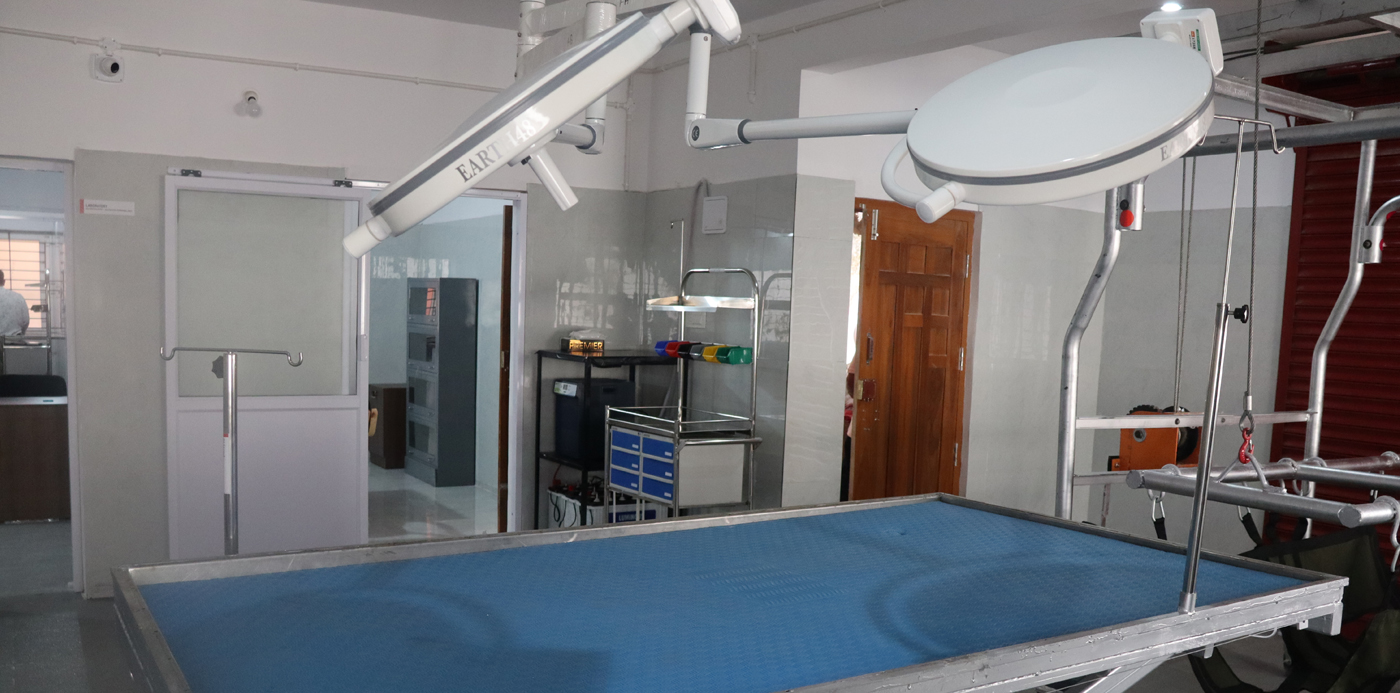 Veterinary Healthcare